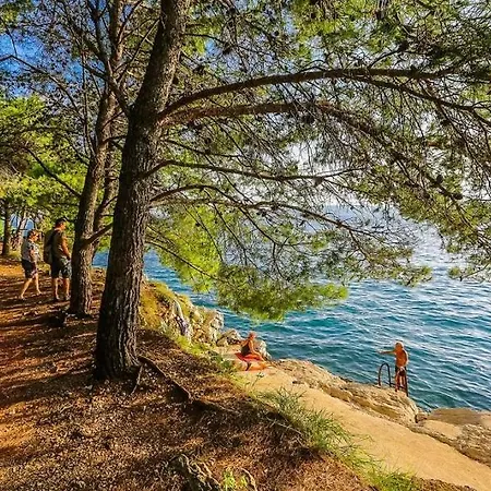 Villa Bajlo With Three Bedrooms *